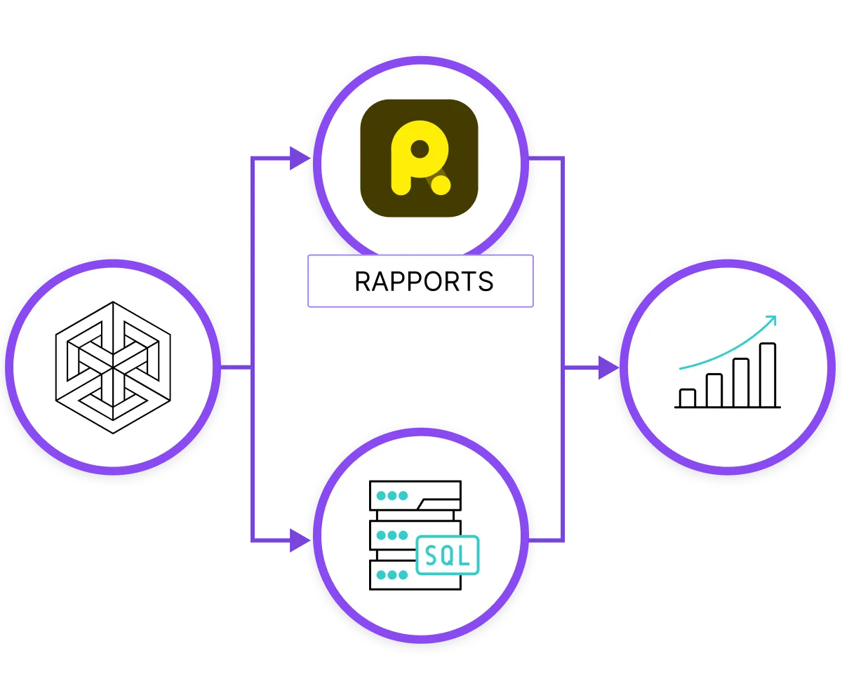 Diagramme montrant le flux de données de Process and Procedures et de la base de données SQL vers Reporting. Icônes représentant l'entrée de données, la base de données SQL et les rapports avec graphique de croissance.